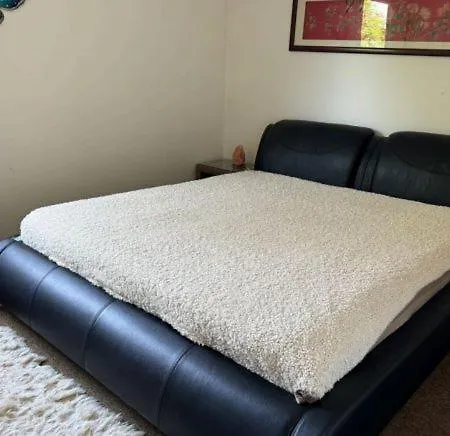 Ferienbutze Harz Drachenperle Bad Lauterberg