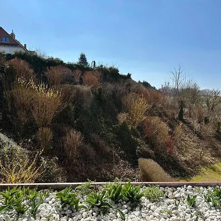 Ferienbutze Harz Drachenperle Apartment Bad Lauterberg
